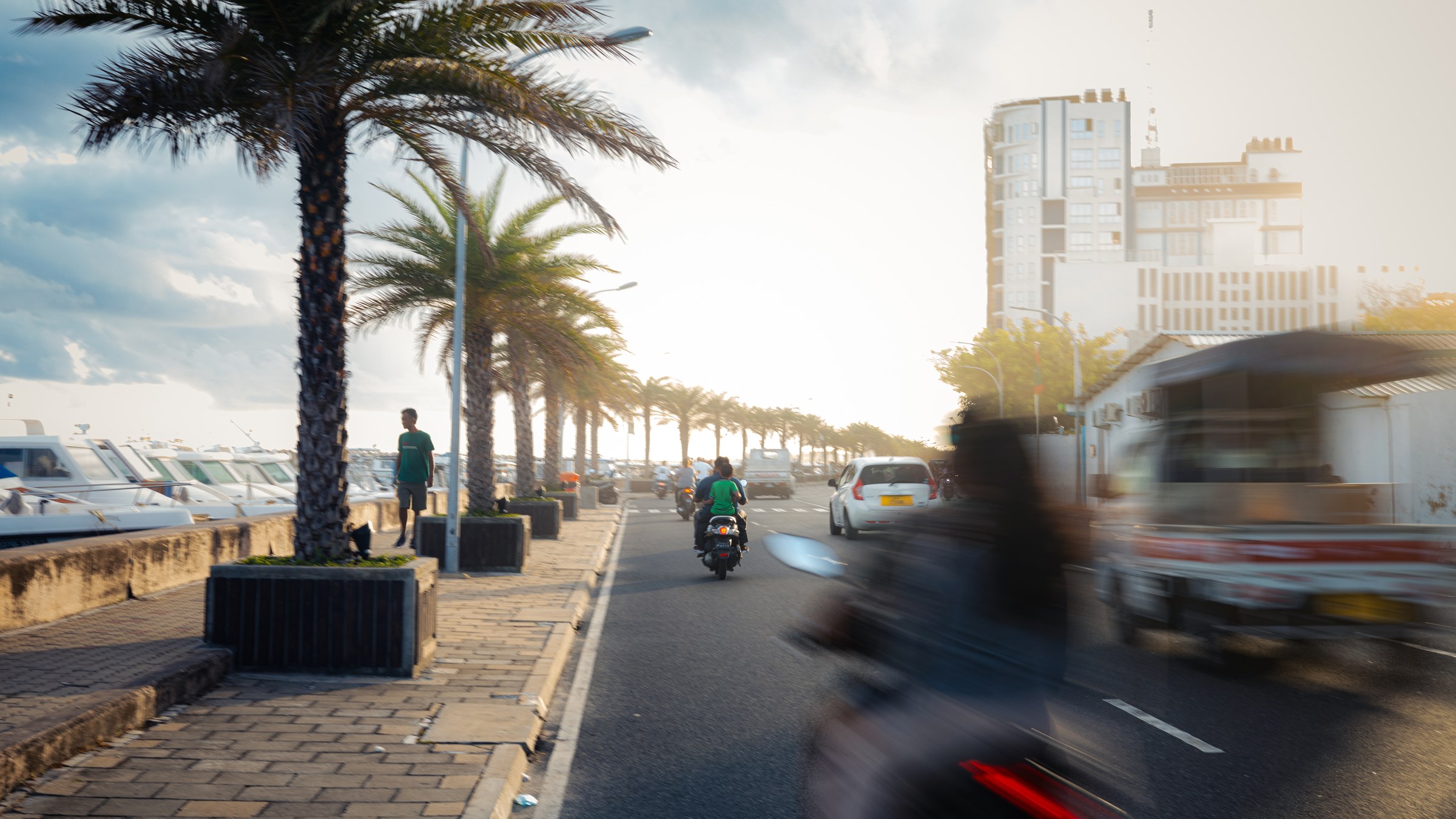 Palm-lined coastal road at golden hour, harbour on the left, vehicles and motorcycles in motion