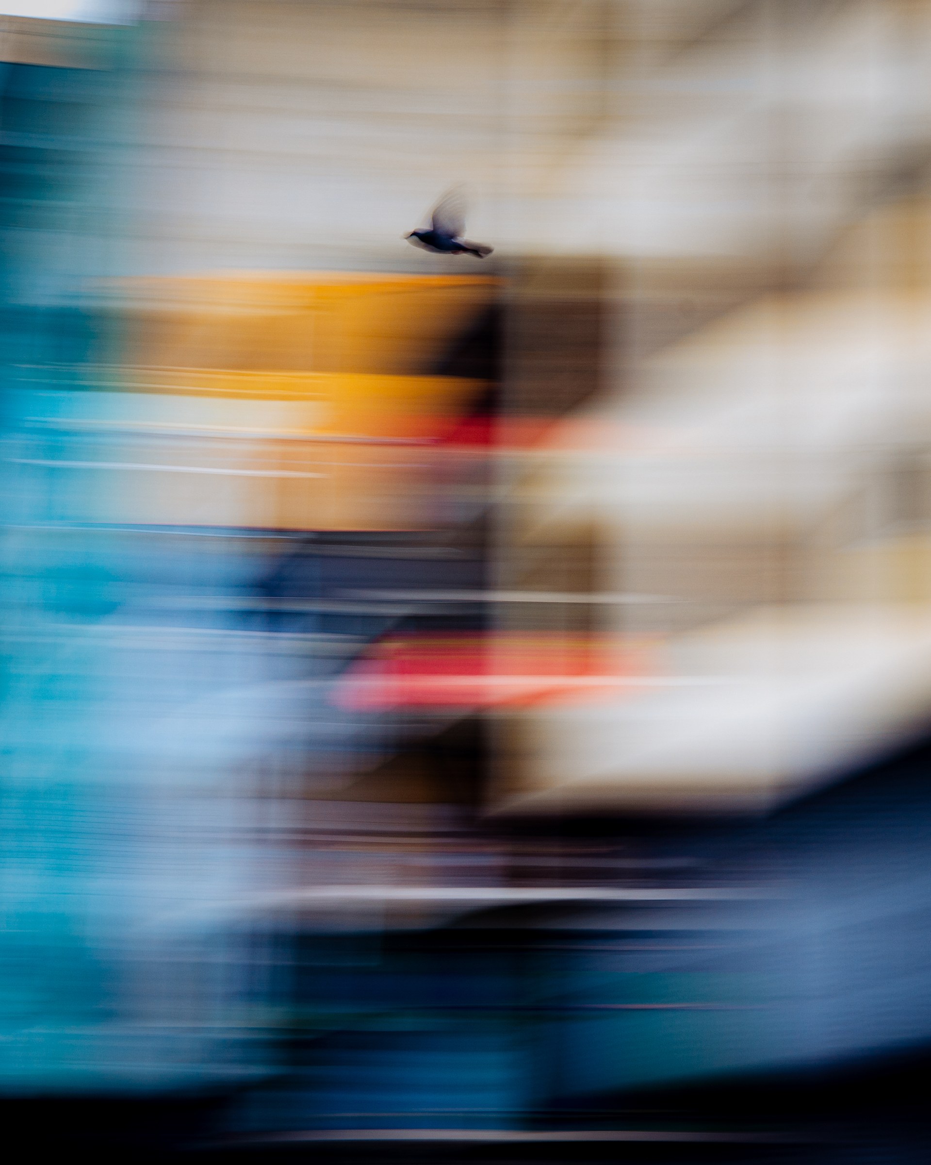 Pigeon caught in mid-flight against a motion-blurred city street in blue and yellow